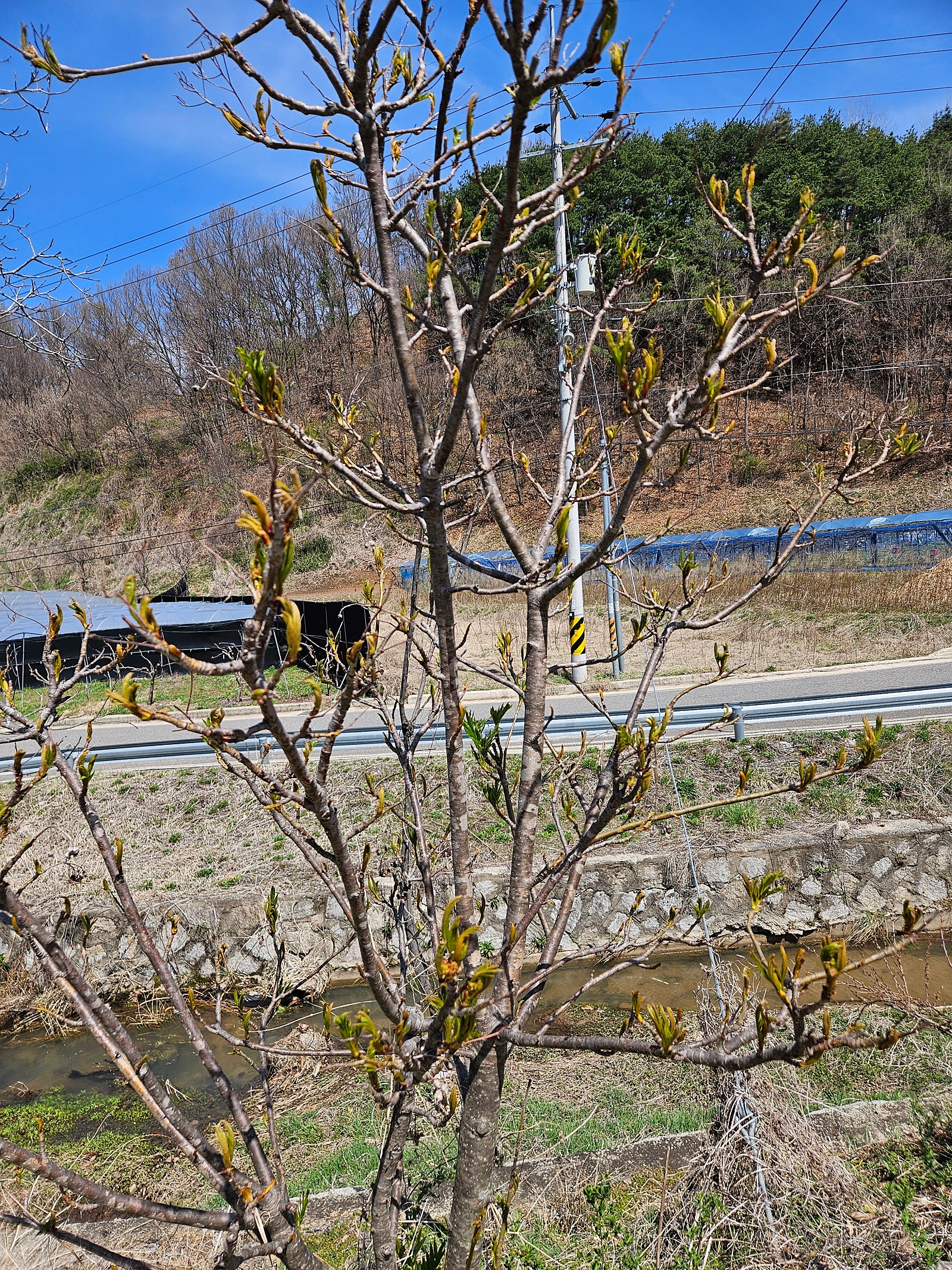 0b1875258cfaaba98bc21d0f79cc9b87d053cd37.JPG