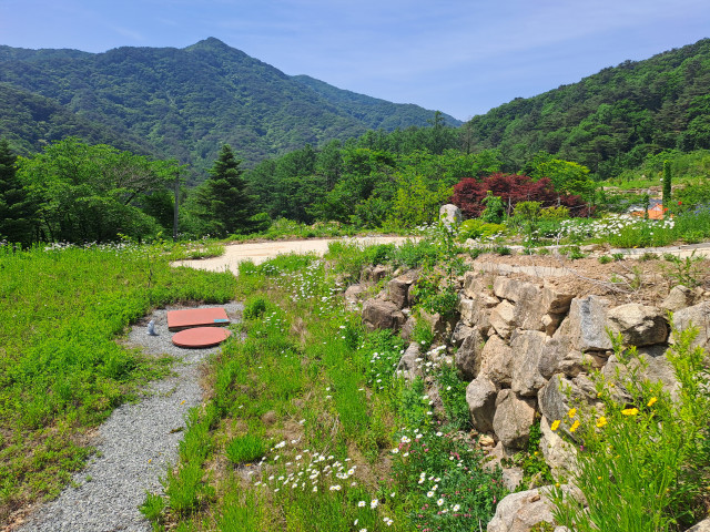 8d8e5f6d606b3e31c06ae661215d839bf0263a58.jpg