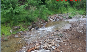 2e8f18ad53616d72208018b0649e0df3854e7649.png