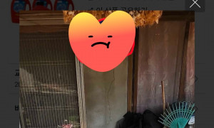 79c6fa443eb12addd49cece660d5e9f142c7c288.JPG