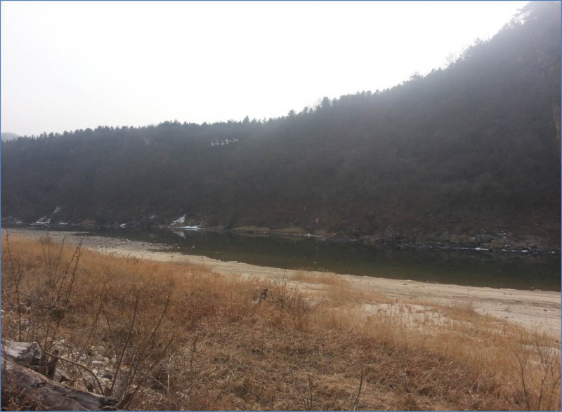 629ac2617fe2921cc94fce923d2affeb98699cab.jpg