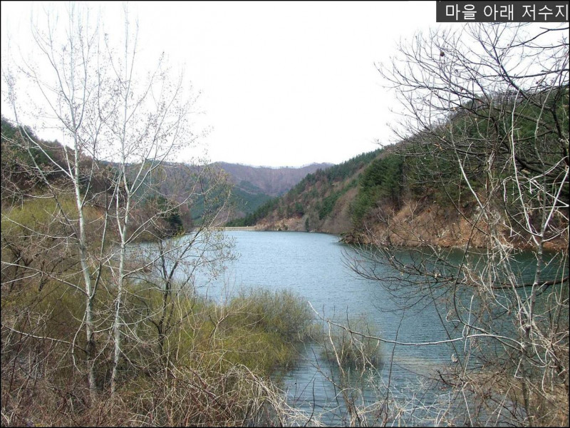 a8942a06fd73589ef13b668805caddb8906606af.jpg